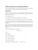 ELEMENTOS BÁSICOS DEL ANÁLISIS MICROECONÓMICO Planteamiento