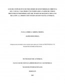 ANÁLISIS COMPARATIVO DE INDICADORES DE SOSTENIBILIDAD AMBIENTAL (HC) Y SOCIAL PARA PRODUCTOS TERMINADOS A PARTIR DEL ÍNDIGO PROVENIENTE POR IMPORTACIÓN DEL PUERTO DE SHANGHÁI, CHINA