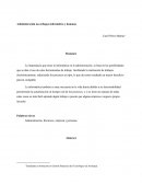 Administración un enfoque informático y humano