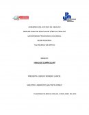 ENSAYO “ANALISIS CURRICULAR”