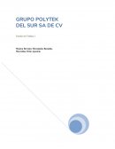 GRUPO POLYTEK DEL SUR SA DE CV