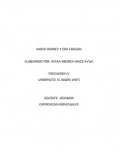 Biografia karen horney erinson