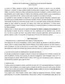 EJERCICIO DE FLANEO PARA LA OBSERVACIÓN DE ESPACIOS URBANOS