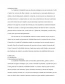 La Ciudad de Cochabamba tiene una ubicación estratégica al ser eje troncal entre La Paz y Santa Cru