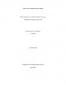 ENSAYO DE LA COMUNICACIÓN POR INTERNET.