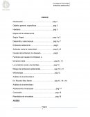Consideramos que el problema embarazo adolescente a medida que pasa el tiempo se acrecienta más y más.