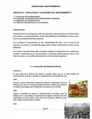 EVOLUCIÓN Y TAXONOMÍA DEL MANTENIMIENTO