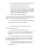 Cómo se llaman los dos sistemas que existen para registrar mercaderías?