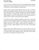 LA SAL DE LA TIERRA.