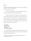 Tarea 1 - Estrategias del Comercio Electronico