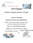 Ensayo De Costos y sus Clasificaciones
