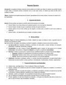 Apuntes del Resumen Ejecutivo