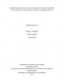 INFORME PRESENTADO EN EL CURSO DE DIAGNÓSTICO ESTRATÉGICO SOBRE LA APLICACIÓN DE LA TÉCNICA DOFA AL CASO DE LA EMPRESA RAMO S.A.