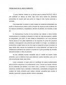 PROBLEMAS EN EL MEDIO AMBIENTE