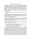 Los sistemas de información son sin lugar a dudas el grupo de elementos más representativos de esta generación puesto que han logrado la orientación hacia muchas alternativas