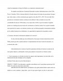 El impulso que dió Grupo Sol Meliá a su expansión Latinoamericana