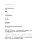 Guía de trabajo Película la Ola