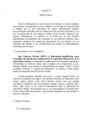 Trabajo de investigación sobre la hidroponía