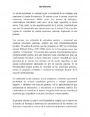 Acción enzimática procedimiento