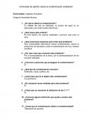 Entrevista de opinión sobre la contaminación ambiental.