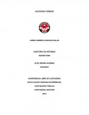 Esayo de Auditoria forence