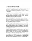 Preguntas de investigacion “Era del Conocimiento o Sociedad de la Información”