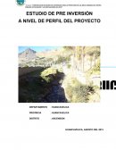 RESULTADO DE LA EVALUACION DEL PROYECTO.