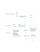 Paradigmas de recreación.