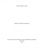 TRABAJO SOBRE EL PLAGIO