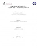 ENSAYO SOBRE CIUDADANIA Y DEMOCRACIA