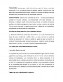LOS FACTORES QUE AFECTAN LA PRODUCTIVIDA