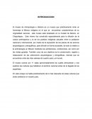 INTRODUCCION A LA ANTROPOLOGIA.Arqueología
