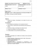 Las ventajas y desventajas de una cadena de valor en una organización