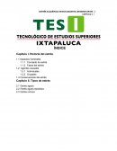 Ensayo: Historia del estres