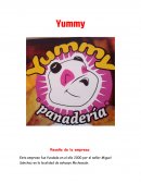 Reseña de la empresa.