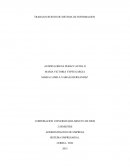 TRABAJO ESCRITO DE SISTEMA DE INFORMACION