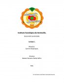 Ensayo: Recursos Naturales