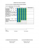 FORMATO DEL PLAN DE ACTIVIDADES.