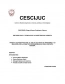 TRABAJO DE INVESTIGACION: EL DELITO DE TRATA DE PERSONAS Y SU RELACIÓN CON LA PRACTICA DE SEXOSERVICIO EN EL DISTRITO FEDERAL