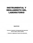 INSTRUMENTAL Y REGLAMENTO DEL LABORATORIO.