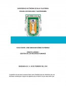 Ensayo factores humanos