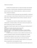 TEORIA DEL DESARROLLO JEAN PIAGET