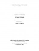 Estructura de un plan de negocio.