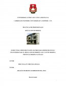 INFORME SOBRE PRÁCTICAS PRE-PROFESIONALES.