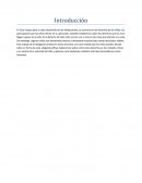 Desarrollo del adolescente.