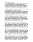 Resumen sobre video ``La Meta``