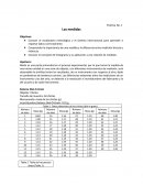 Práctica No. 1 Las medidas