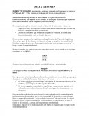 Estructuralismo movimiento, corriente instaurada en Francia que se inicia en la 2º década del S. XX