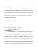 Gases en nuestra vida.