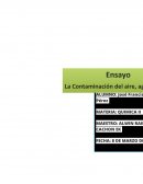 Ensayo quimica I la contaminacion.